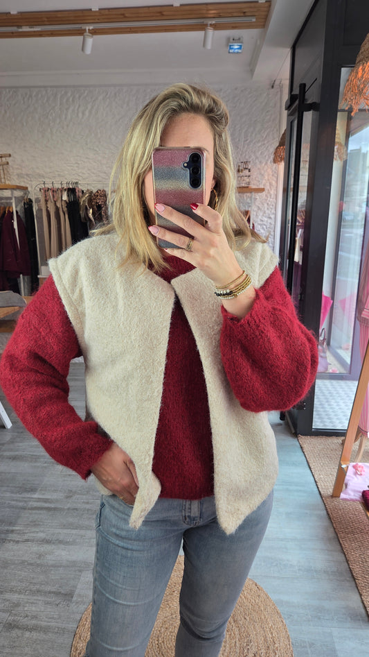 Gilet