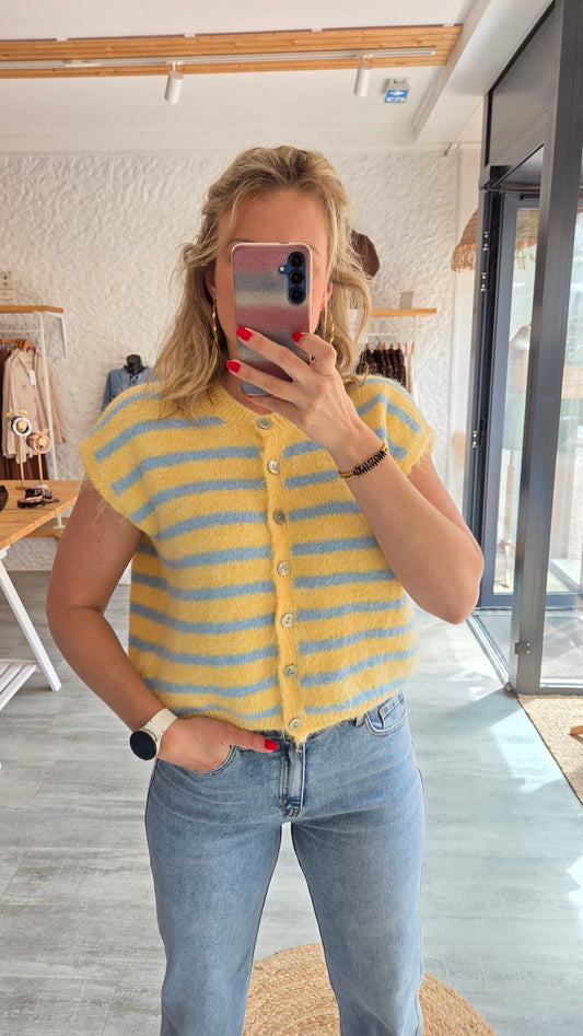 Gilet